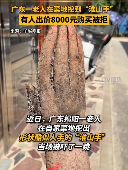 �F(xi��n)���V�|һ�����ڲ˵��ڵ���ɽ�֮�(d��ng)��������һ�����˳��r(ji��)Ԫُ�I���܏V�|֪��